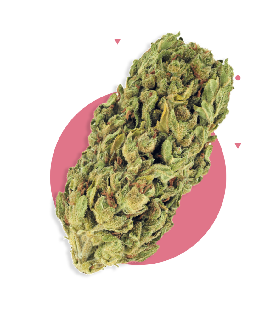 weed-bud-with-object
